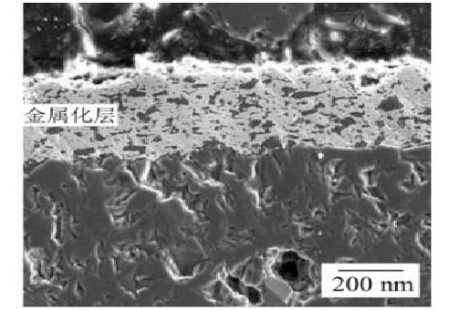 BeO陶瓷基片截面微观组织.png